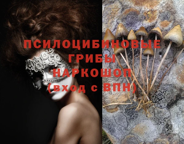 амфетамин Гусь-Хрустальный