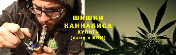 спиды Гусев
