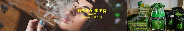 спайс Нягань