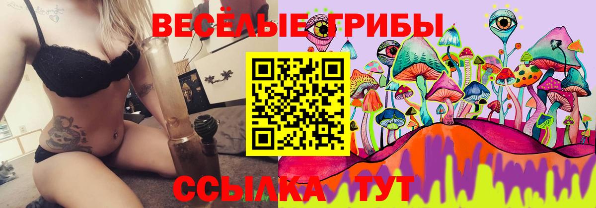 Галлюциногенные грибы ЛСД Рязань