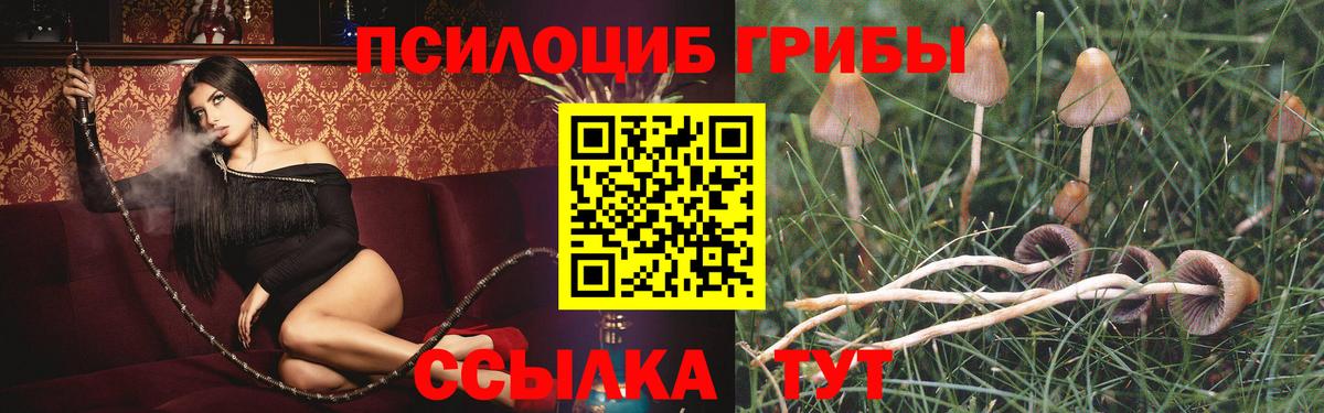 Галлюциногенные грибы Cubensis Рязань