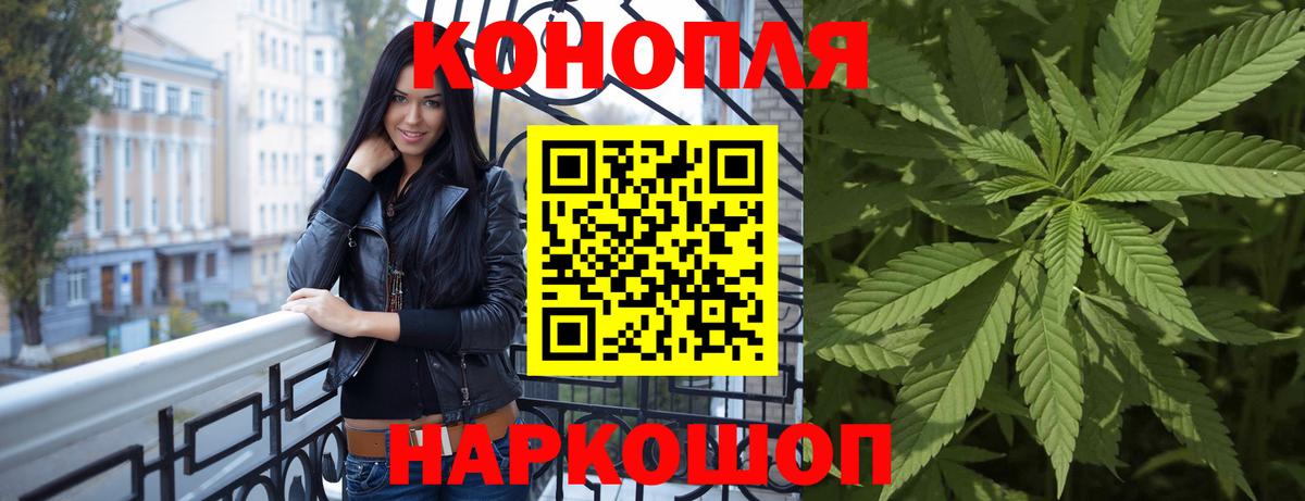 Галлюциногенные грибы Рязань